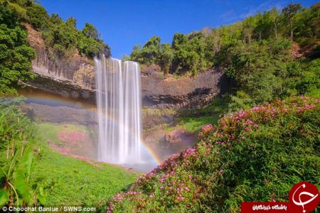   اخبار گوناگون ,خبرهای  گوناگون ,گنج پای رنگین‌کمان