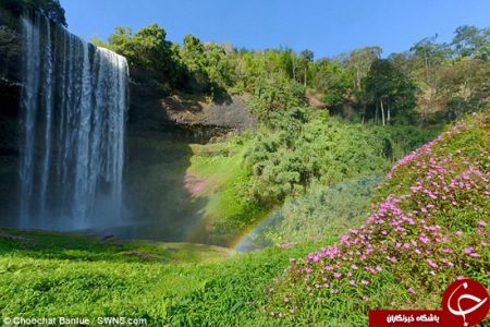   اخبار گوناگون ,خبرهای  گوناگون ,گنج پای رنگین‌کمان