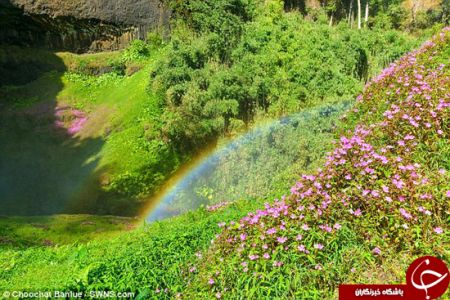   اخبار گوناگون ,خبرهای  گوناگون ,گنج پای رنگین‌کمان