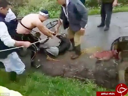 اخبارجدید,خبرهای جدید,اخبارجدید