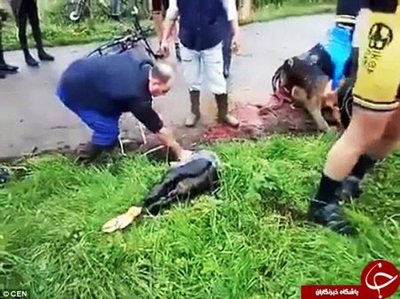 اخبارجدید,خبرهای جدید,اخبارجدید