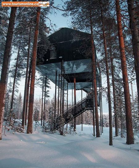 اخبارگوناگون,خبرهای گوناگون,هتل درختی