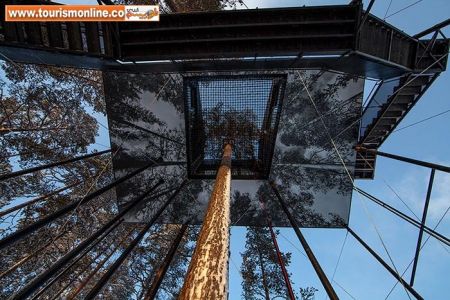 اخبارگوناگون,خبرهای گوناگون,هتل درختی