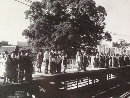 اخبارجدید,خبرهای جدید,اخبارجدید