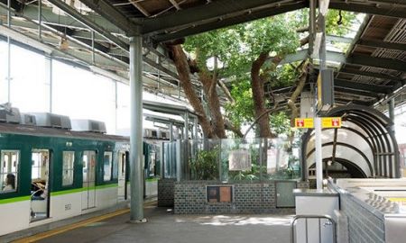 اخبارجدید,خبرهای جدید,اخبارجدید