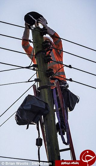 اخبارگوناگون,خبرهای گوناگون, گربه گرفتار