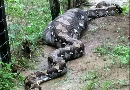 اخبار,اخبار امروز,اخبار جدید