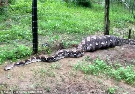 اخبار,اخبار امروز,اخبار جدید