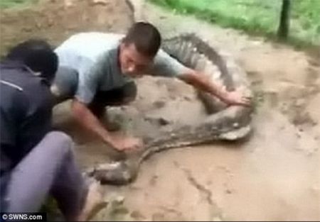 اخبار,اخبار امروز,اخبار جدید