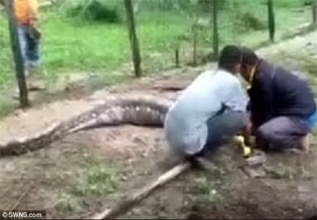 اخبار,اخبار امروز,اخبار جدید