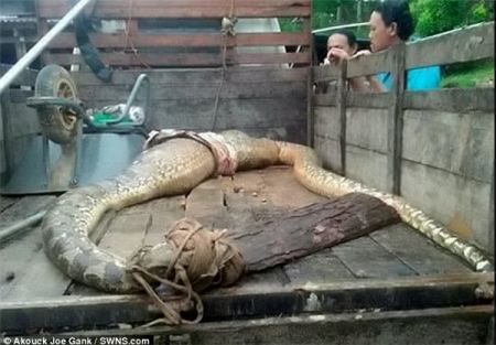 اخبار,اخبار امروز,اخبار جدید