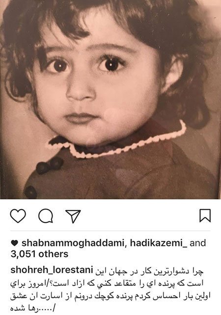 اخبار فرهنگی,خبرهای فرهنگی,اخبار هنرمندان