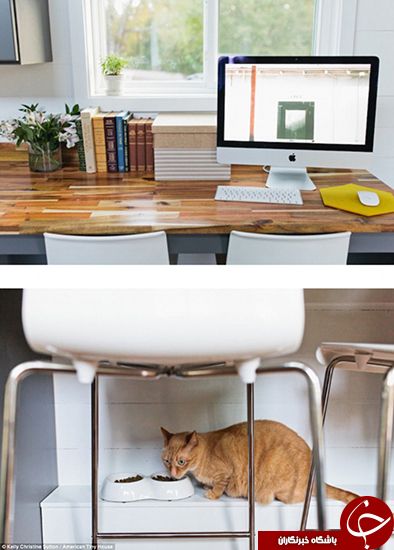   اخبارگوناگون,خبرهای   گوناگون  ,کوچکترین خانه‌ها