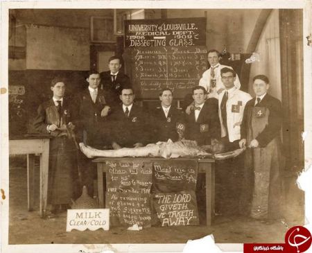 اخبارگوناگون ,خبرهای گوناگون , سلفی های ترسناک اخبار گوناگون ,خبرهای گوناگون , سلفی های ترسناک