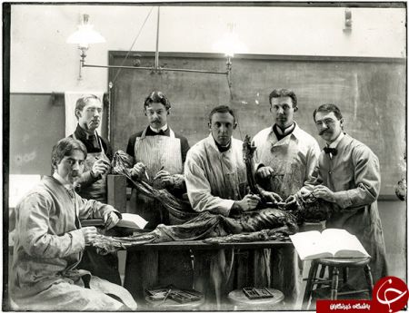 اخبارگوناگون ,خبرهای گوناگون , سلفی های ترسناک اخبار گوناگون ,خبرهای گوناگون , سلفی های ترسناک