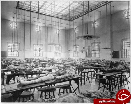 اخبارگوناگون ,خبرهای گوناگون , سلفی های ترسناک اخبار گوناگون ,خبرهای گوناگون , سلفی های ترسناک