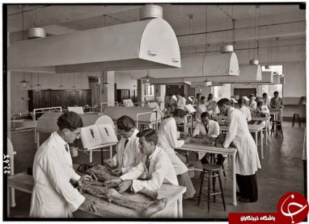 اخبارگوناگون ,خبرهای گوناگون , سلفی های ترسناک اخبار گوناگون ,خبرهای گوناگون , سلفی های ترسناک