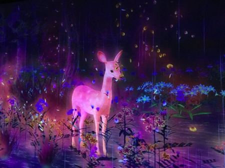 اخبارگوناگون,خبرهای گوناگون ,نمایشگاه تلفیقی از فناوری و هنرهای سنتی اخبارگوناگون,خبرهای گوناگون ,نمایشگاه تلفیقی از فناوری و هنرهای سنتی