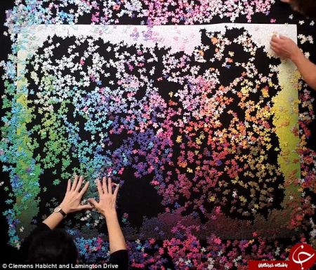   اخبارگوناگون ,خبرهای گوناگون,سخت‌ترین پازل دنیا 