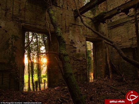   اخبار گوناگون,خبرهای  گوناگون,قصری  قائم مقام هیتلر