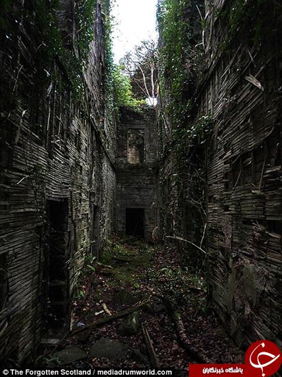   اخبار گوناگون,خبرهای  گوناگون,قصری  قائم مقام هیتلر