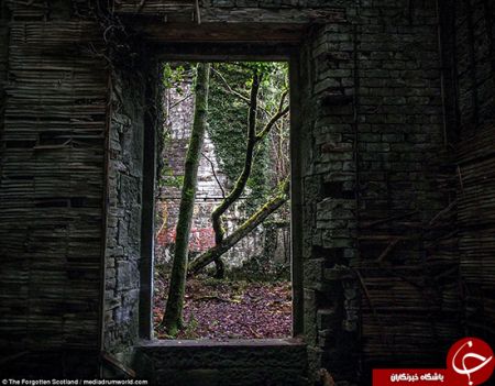   اخبار گوناگون,خبرهای  گوناگون,قصری  قائم مقام هیتلر