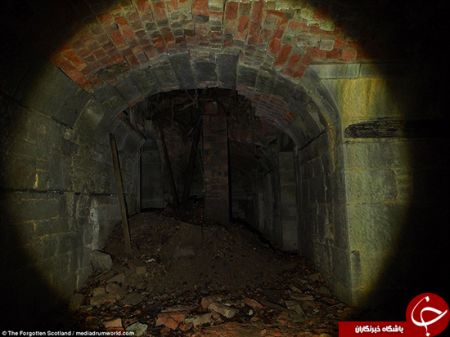   اخبار گوناگون,خبرهای  گوناگون,قصری  قائم مقام هیتلر