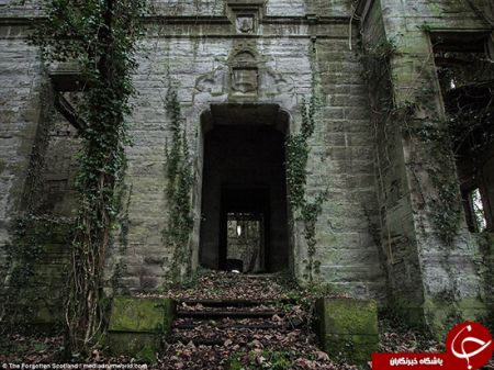   اخبار گوناگون,خبرهای  گوناگون,قصری  قائم مقام هیتلر