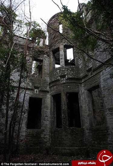   اخبار گوناگون,خبرهای  گوناگون,قصری  قائم مقام هیتلر