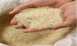 توزیع 40 هزار تن برنج برای تنظیم بازار شب عید/ برنج هندی کیلویی 3800 تومان