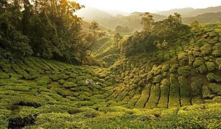 اخبار,اخبار گوناگون,۱۰مقصد منتخب از ۱۰۰ تجربه برتر سفر در دنیا