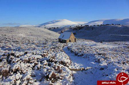   اخبارگوناگون ,خبرهای گوناگون ,بهشت ولگردها