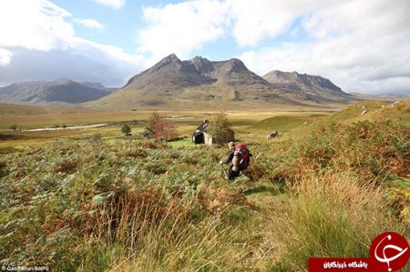   اخبارگوناگون ,خبرهای گوناگون ,بهشت ولگردها
