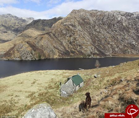   اخبارگوناگون ,خبرهای گوناگون ,بهشت ولگردها