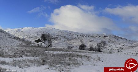   اخبارگوناگون ,خبرهای گوناگون ,بهشت ولگردها