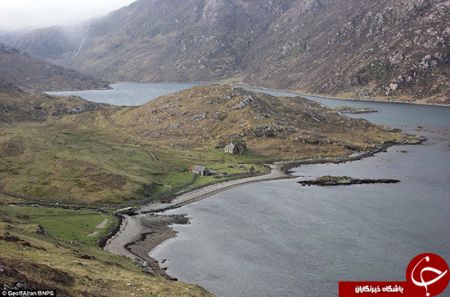   اخبارگوناگون ,خبرهای گوناگون ,بهشت ولگردها