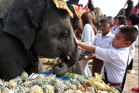عکسهای جالب,تصاویر دیدنی,روز ملی فیل   