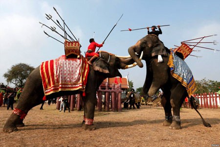 عکسهای جالب,تصاویر جالب,مبارزه فیل ها  
