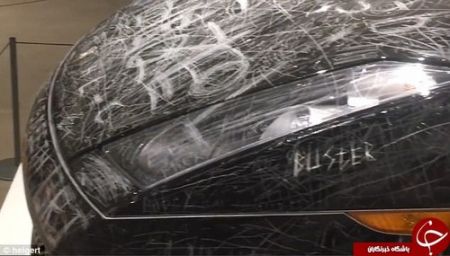 اخبار,اخبار گوناگون,لامبورگینی اخبار,اخبار گوناگون,لامبورگینی