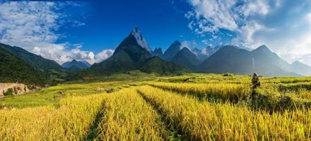   اخبار گوناگون,خبرهای  گوناگون,شاهزاده جاودانه و اژدها در ویتنام