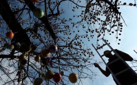 اخبار گوناگون,خبرهای گوناگون , تخممرغهای رنگارنگ عید پاک اخبار گوناگون,خبرهای گوناگون , تخممرغهای رنگارنگ عید پاک