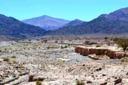   اخبارگوناگون ,خبرهای  گوناگون,عجیب‌ترین موجودات سال