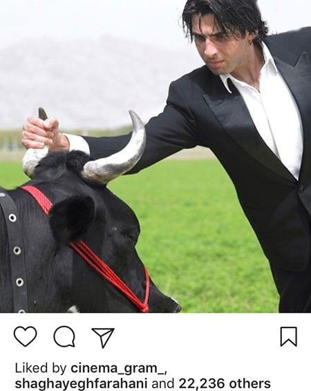 اخبار فرهنگی,اخبار بازیگران,اخبار هنرمندان