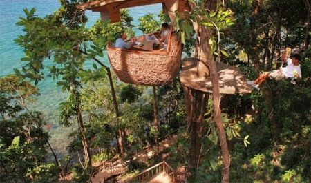   اخبارگوناگون,خبرهای  گوناگون , رستوران درختی