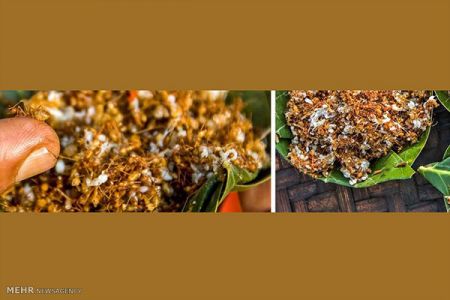 این هندیهای عجیبخور!