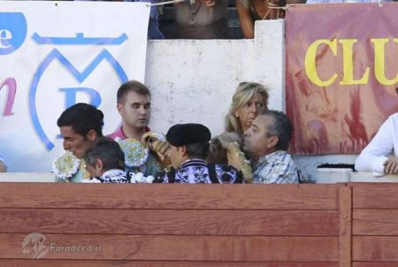 کشتهشدن گاوباز سرشناس در میدان نبرد