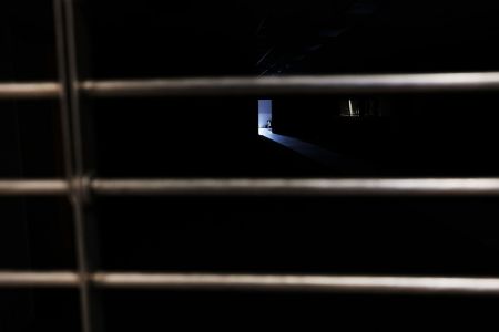   اخبارگوناگون,خبرهای  گوناگون ,جهانی بدون انسان‌