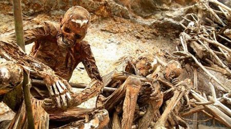 اخبار,اخبار گوناگون,مومیایی