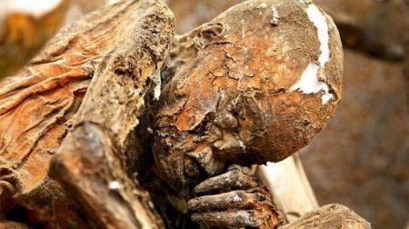 اخبار,اخبار گوناگون,مومیایی