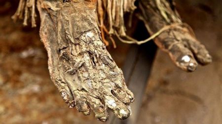 اخبار,اخبار گوناگون,مومیایی